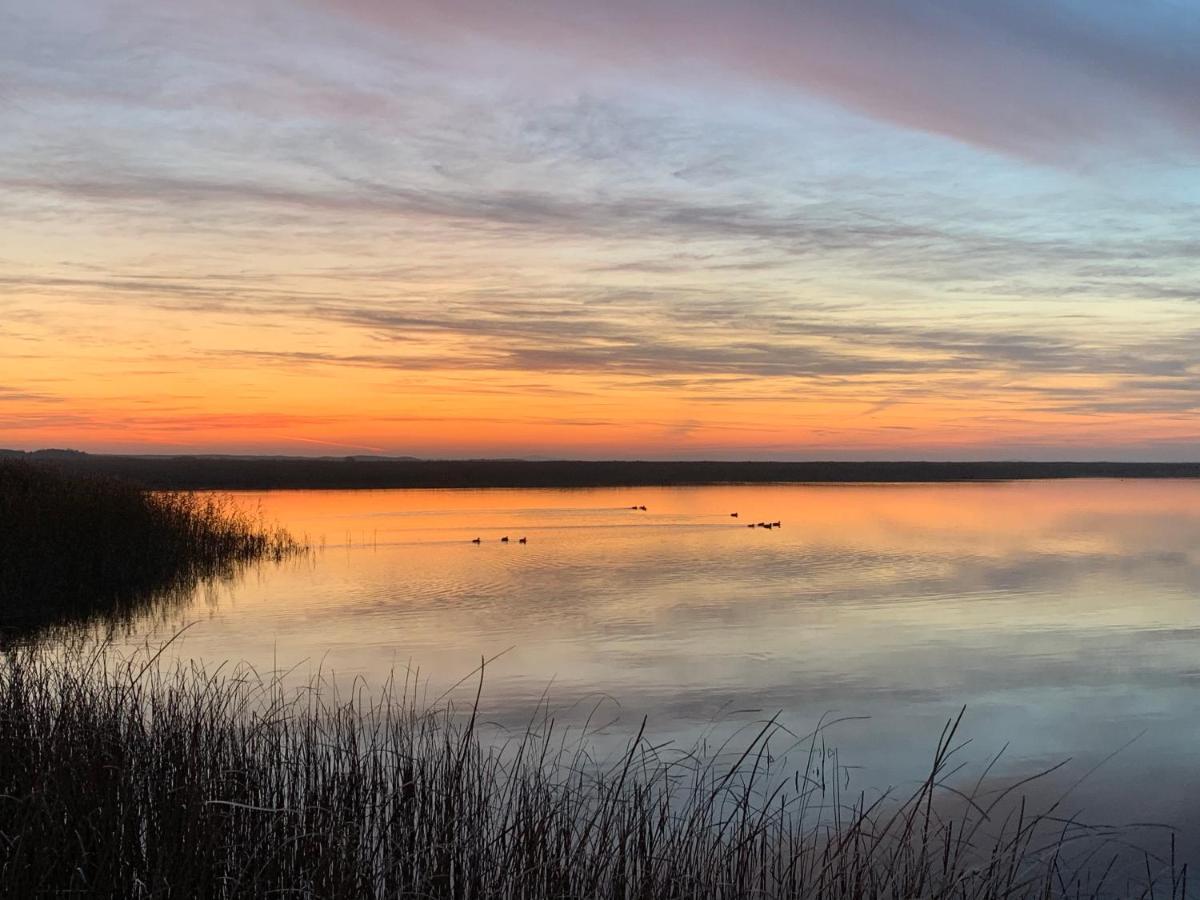 Pokoje Goscinne Ewela Łeba Exteriör bild